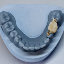 Dental Forum 2024
